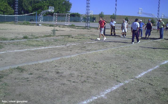 foto de los novillos